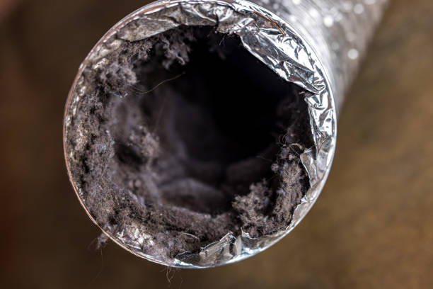 Best Air Duct Cleaning Near Me  in Beattystown, NJ
